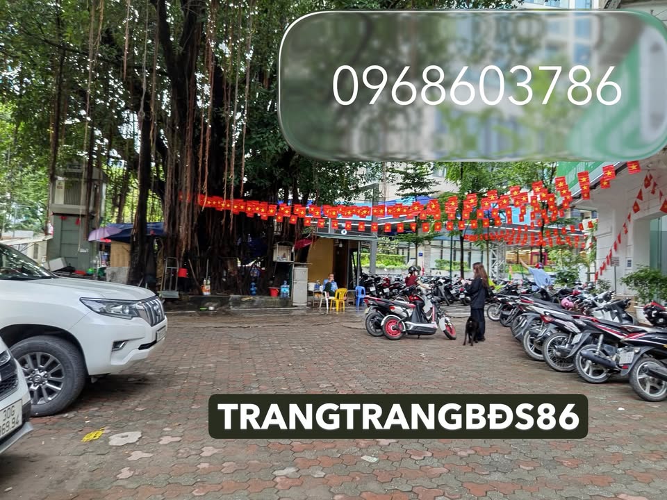 Cho thuê văn phòng 5 tầng Đội Cấn 256m² giá thỏa thuận - Vị trí đắc địa, kinh doanh thuận lợi!