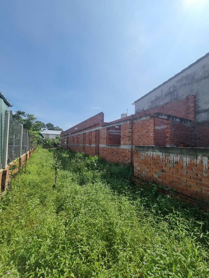 Đất thổ cư chính chủ hẻm Nguyễn Lương Bằng, Long Hoa 496m² chỉ 900 triệu - Cơ hội đầu tư hấp dẫn!