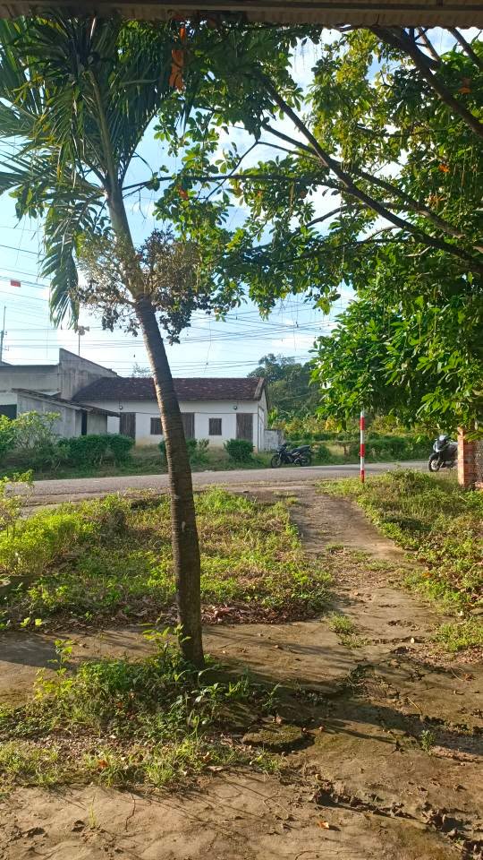 Nhà bán 2 mặt tiền đường Ngô Mây, diện tích 342.4m², giá chỉ 800 triệu - Cơ hội đầu tư hấp dẫn!