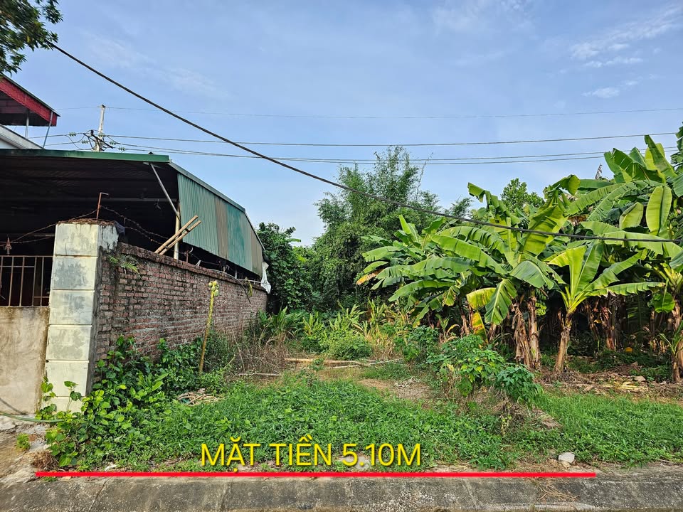 Đất thổ cư khu Tái Định Cư Đồng Doi, Ba Vì 88m² giá 2.904 tỷ - Pháp lý rõ ràng, dân cư đông đúc!