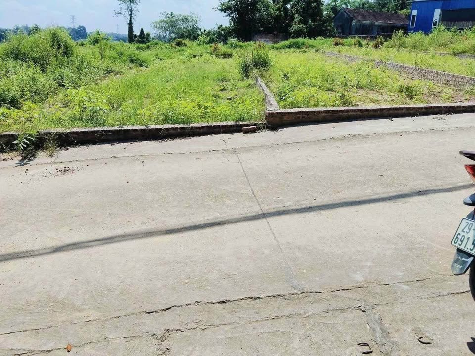 Đất thổ cư 106m² tại Thụy An, Ba Vì - Giá chỉ 1.1 tỷ, sẵn sổ đỏ!