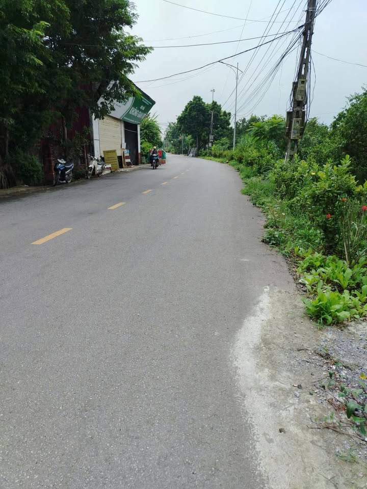 Đất mặt tiền 313m² tại Đông Tảo, Khoái Châu - Giá chỉ 3.13 tỷ