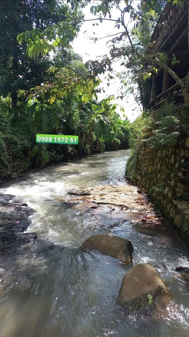 Đất vườn 3 sào tại Láng Lớn, Châu Đức - Phù hợp làm khu nghỉ dưỡng tuyệt đẹp!