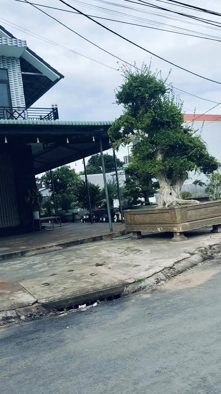 Đất nền An Nhơn Đông 114m² giá 760 triệu - Vị trí kinh doanh sầm uất!