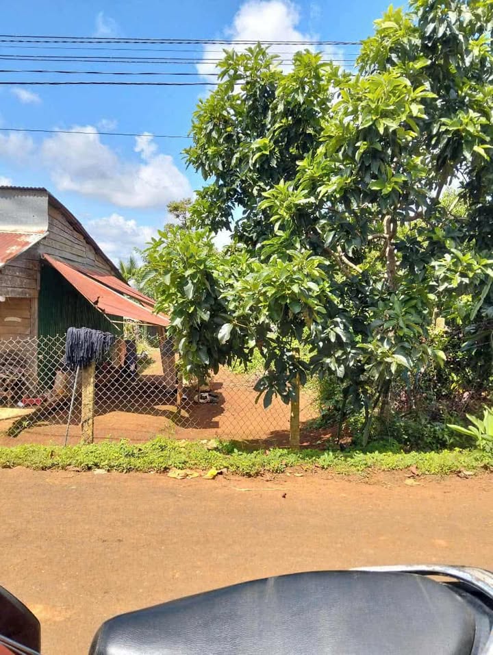 Đất thổ cư 175m² tại Đạt Hiếu, Buôn Hồ giá chỉ 540 triệu - Cần bán gấp!