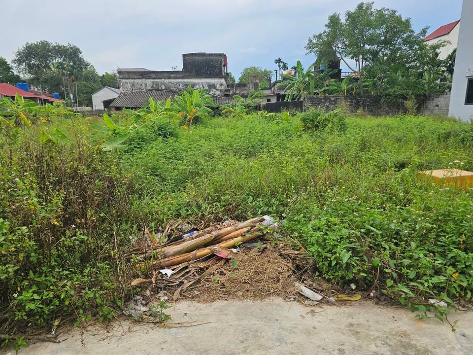 Đất nền Kênh Đào, An Mỹ, Mỹ Đức 133m² giá 2 tỷ - Vị trí đắc địa, tiện ích xung quanh