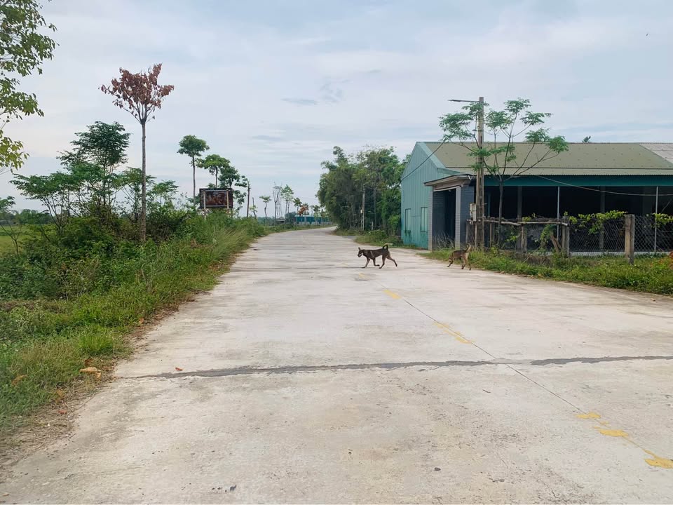 Đất 2 mặt tiền Nguyễn Xí kéo dài Thạch Xuân 312m² - Giá thỏa thuận hấp dẫn!