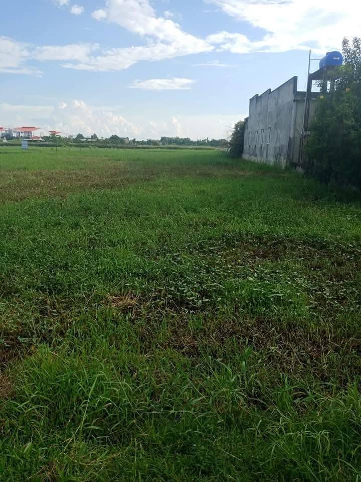 Đất thổ cư 110m² tại ấp 2, Đức Hòa Đông, Long An - Giá 1.1 tỷ, sổ đỏ chính chủ!