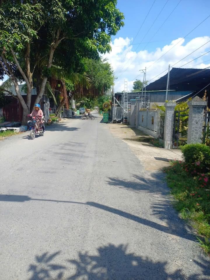 Đất nông nghiệp 12.000m² tại Gáo Giồng, Cao Lãnh - Giá chỉ 3 tỷ!