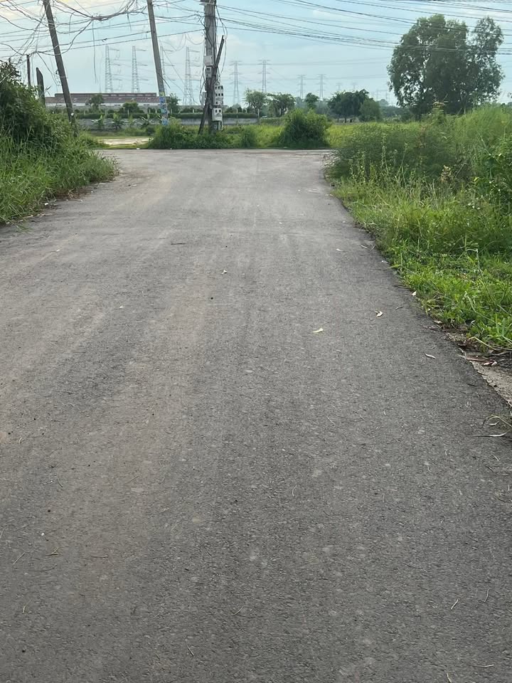 Bán gấp FrontHouse mặt tiền đường Út An, Đức Hòa 115m² giá 1.46 tỷ - Đầu tư sinh lời ngay!