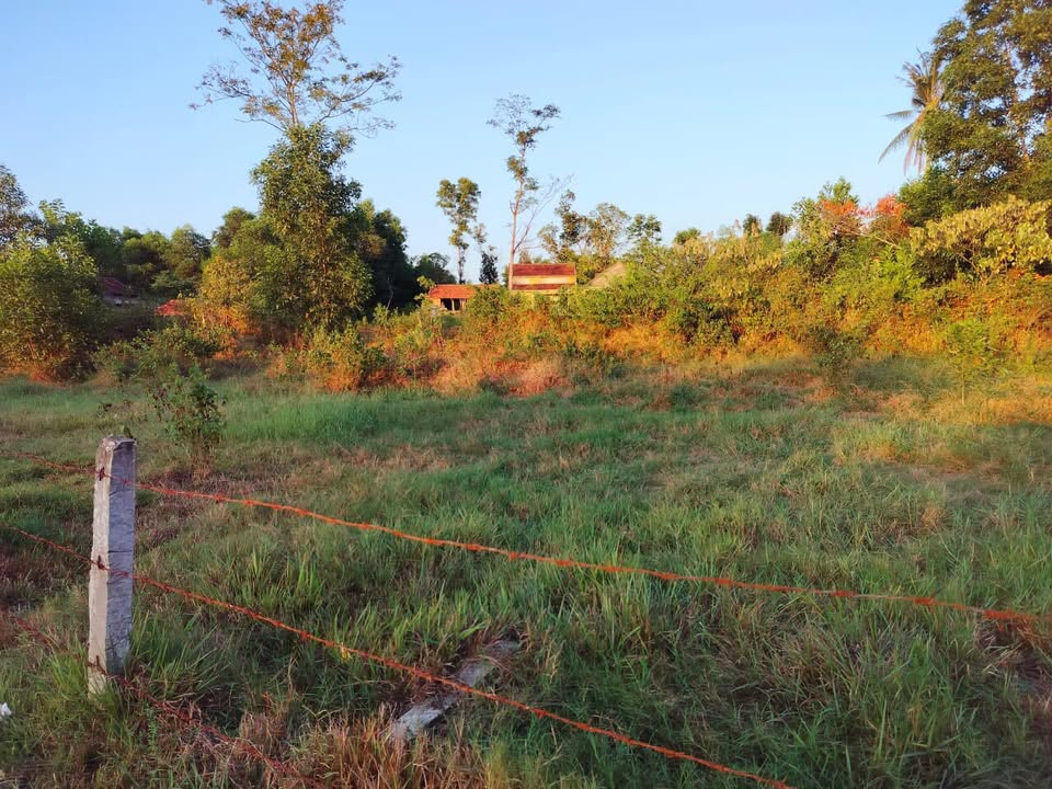 Nhà vườn 3000m² tại Tam Xuân 2, Núi Thành giá 1.8 tỷ - Đầu tư sinh lời dài hạn!