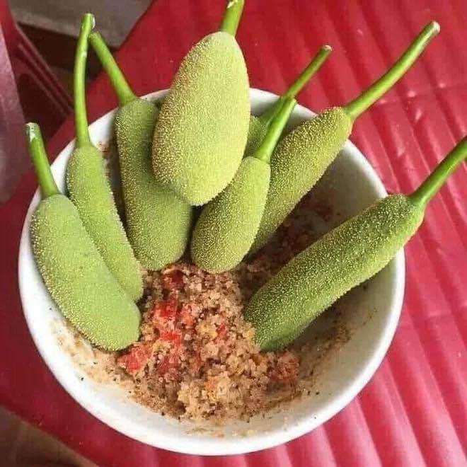 Nhà và đất tại Tam Hiệp, Núi Thành - 480m², thuận tiện kinh doanh!