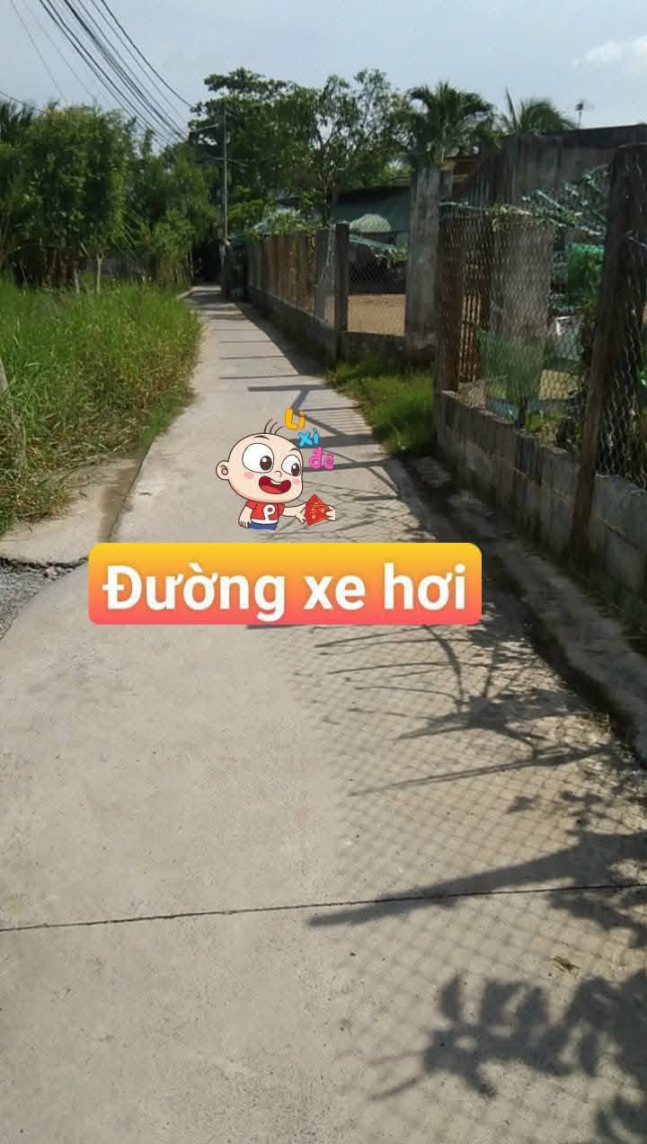 Nhà vườn 1000m² tại Tân Quý Tây, Bình Chánh - Giá chỉ 4.1 tỷ!