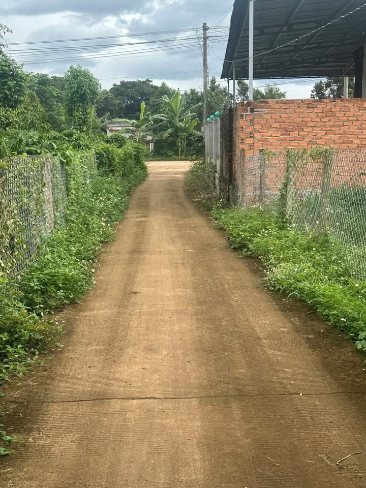 Đất nền Tân Tiến Krông Pắc 275m² giá 700 triệu - Cách chợ chỉ 400m!