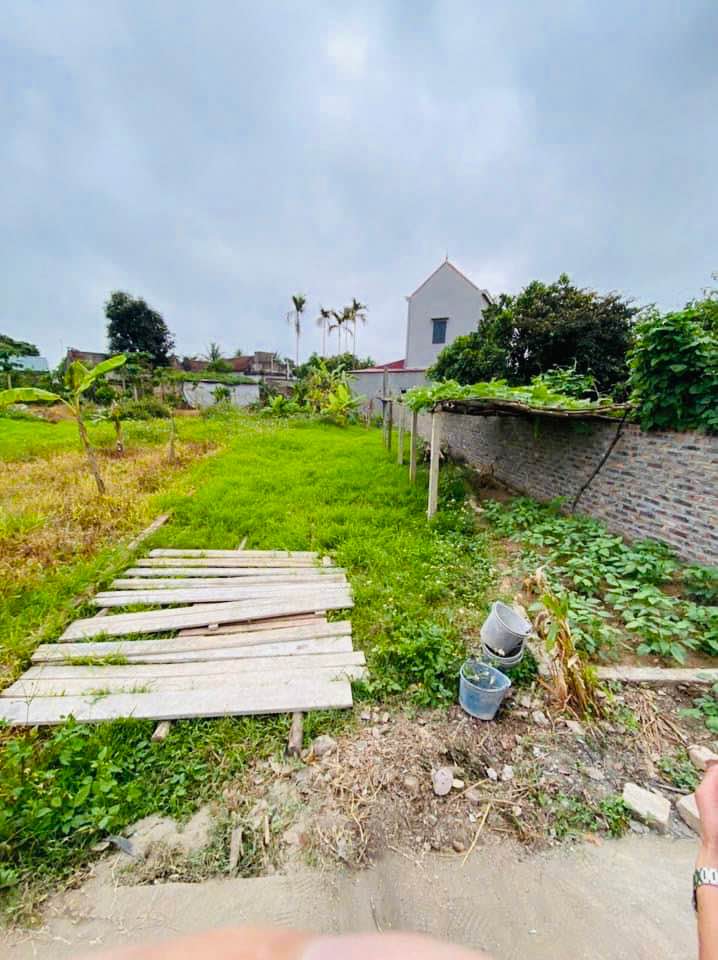 Đất nền Trừng Xá 160m² giá 1.4 tỷ - Đầu tư sinh lời tiềm năng!