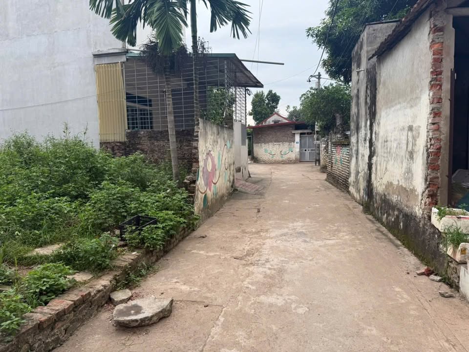 Đất Thượng Mỗ Đan Phượng 67.8m² - Đường thông ô tô vào tận nơi, giá thỏa thuận!