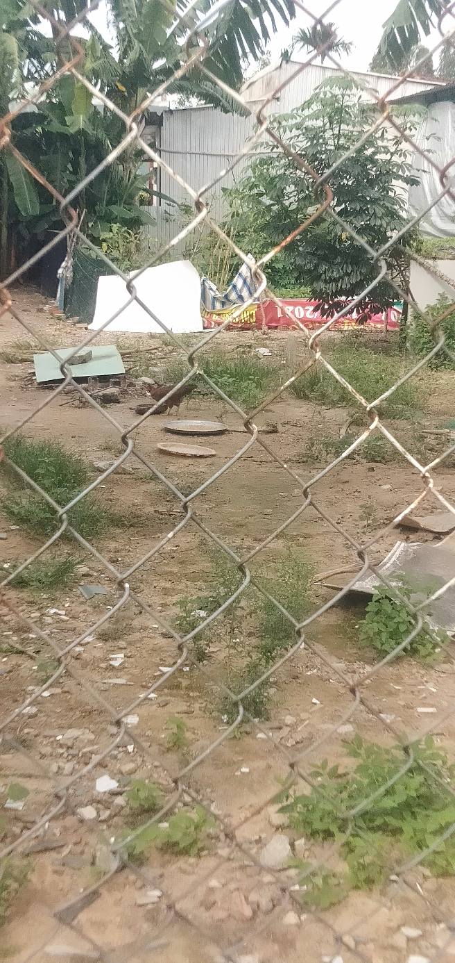 Đất nền Hòa Thọ Tây 191m² giá 2 tỷ - Đầu tư sinh lời ngay!