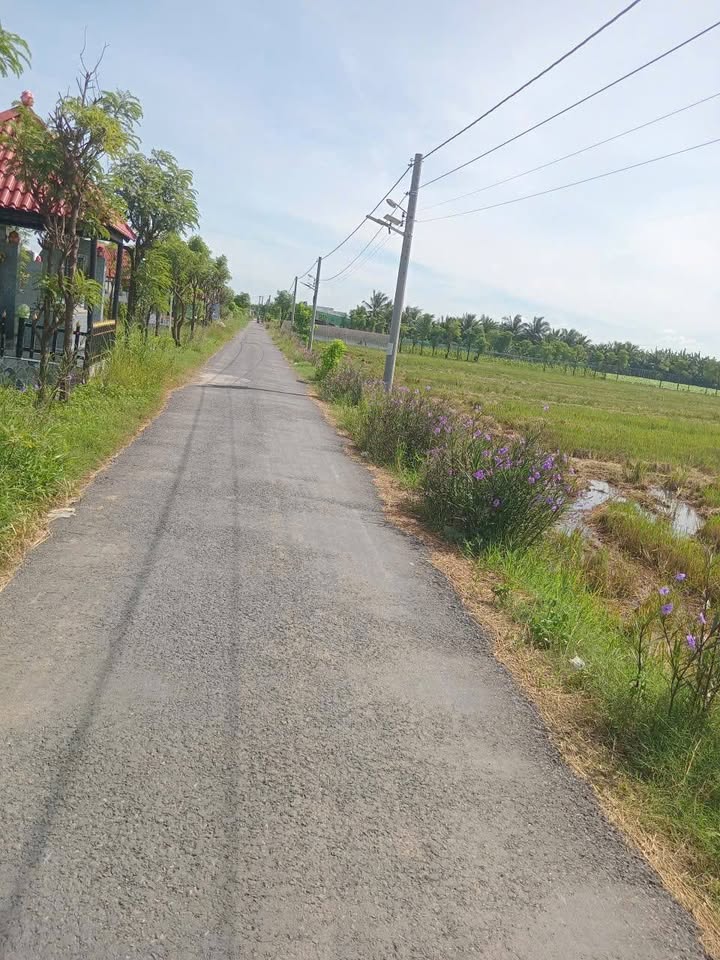 Đất nền 1.148m² mặt tiền đường nhựa Tân Phước Gò Công - Giá chỉ 300 triệu!