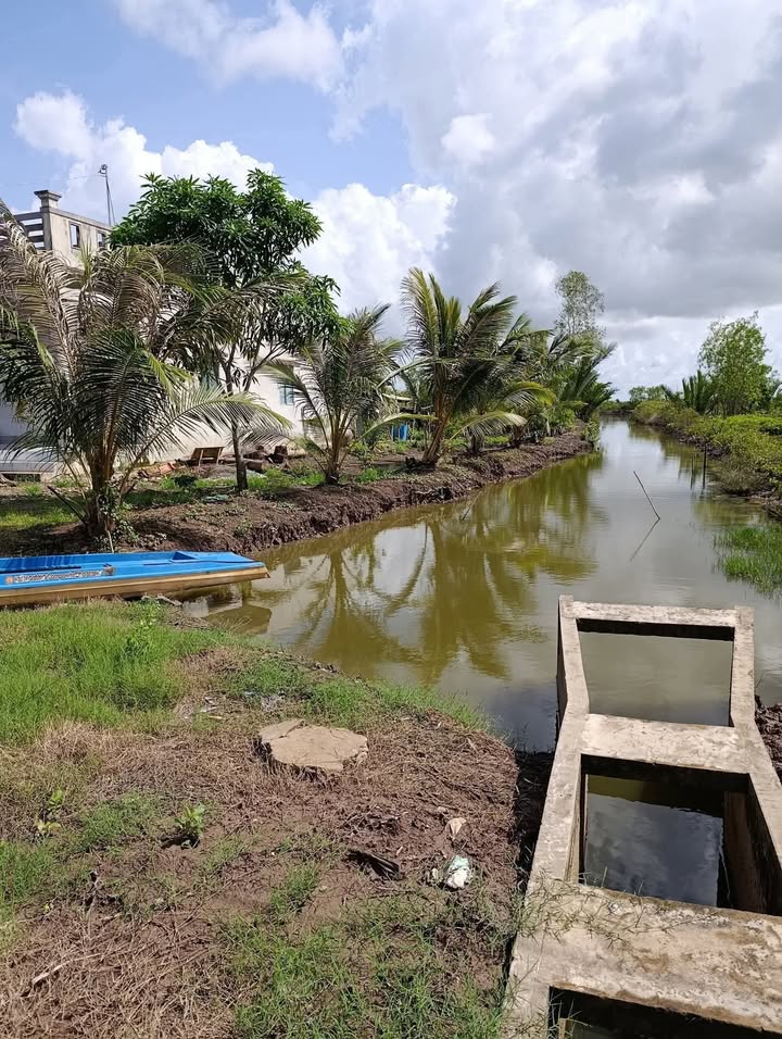 Đất cho thuê 6 công tại Ấp Phan Màu, Bạc Liêu - Giá chỉ 250 triệu/năm!