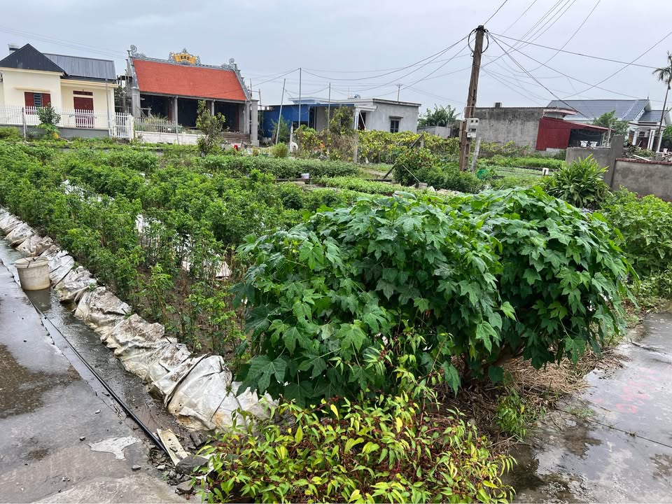 Đất nền đẹp tại Gốc Đa, Minh Tân 87m² chỉ 1.33 tỷ - Đầu tư sinh lời!