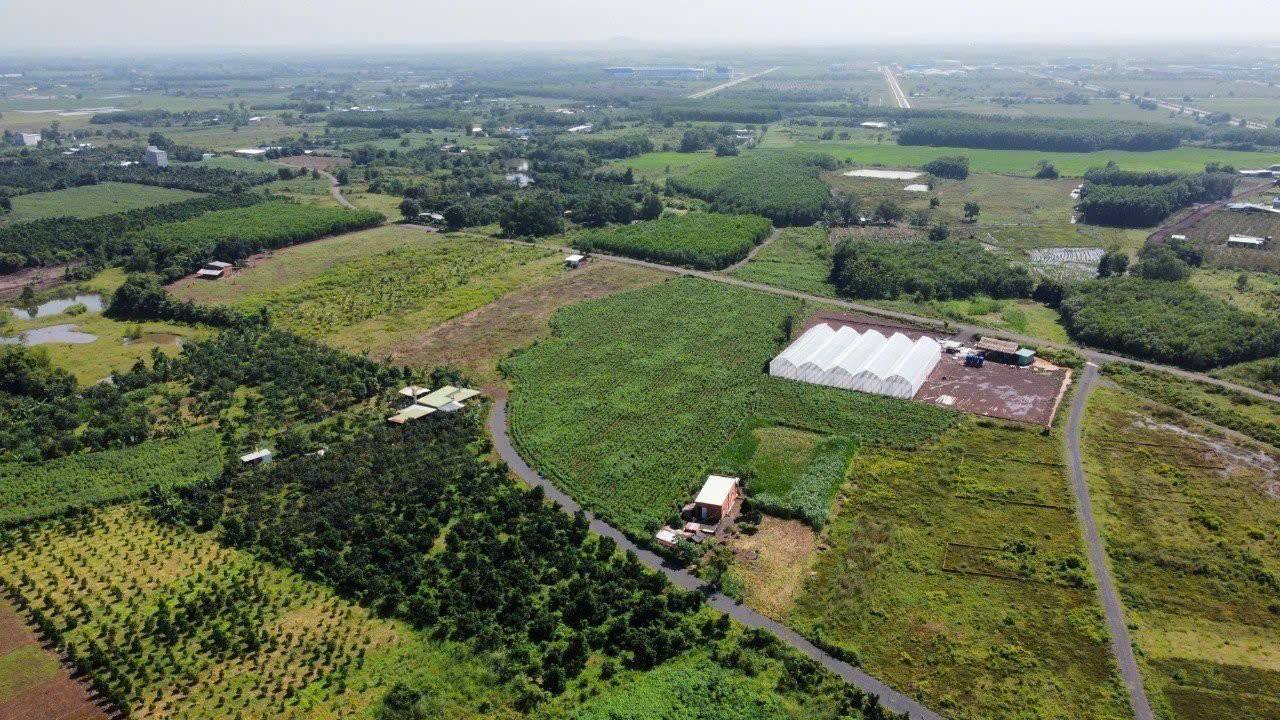 Đất nền Đất Đỏ Bà Rịa - Vũng Tàu 520m² giá 1.78 tỷ - Đầu tư ngay hôm nay!