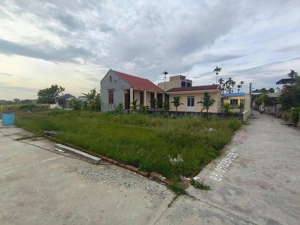 Đất nền Hồng Thái, An Dương 50m² chỉ 900 triệu - Đầu tư sinh lời ngay!