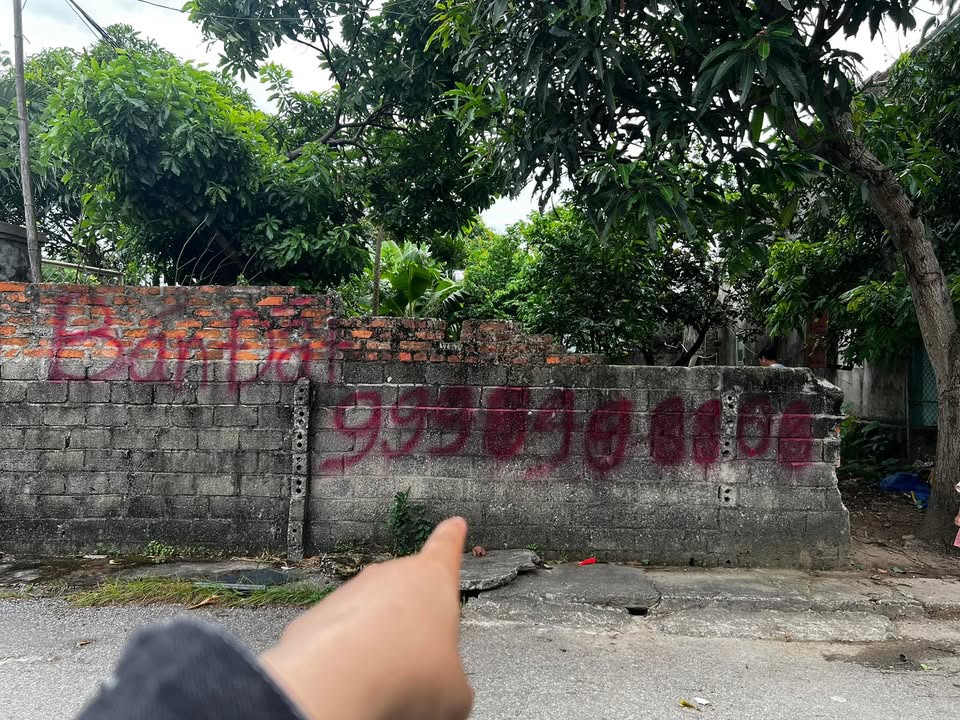 Đất mặt đường Quán Sen, Nghi Kim 131,2m² giá 2,3 tỷ - Đầu tư sinh lời lý tưởng!