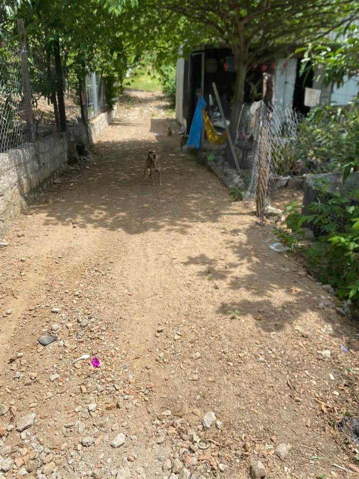 Nhà Vĩnh Lương Nha Trang 250m² giá 650 triệu - Cơ hội đầu tư hấp dẫn!