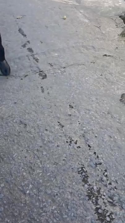 Lô đất Chiến Thắng, Diễn Bích 129m² giá chỉ 900 triệu - Cơ hội đầu tư tuyệt vời!