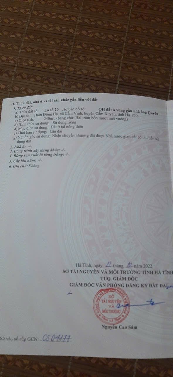 Đất quy hoạch Cẩm Vịnh 240m² giá 1 tỷ - Gần trường và chợ