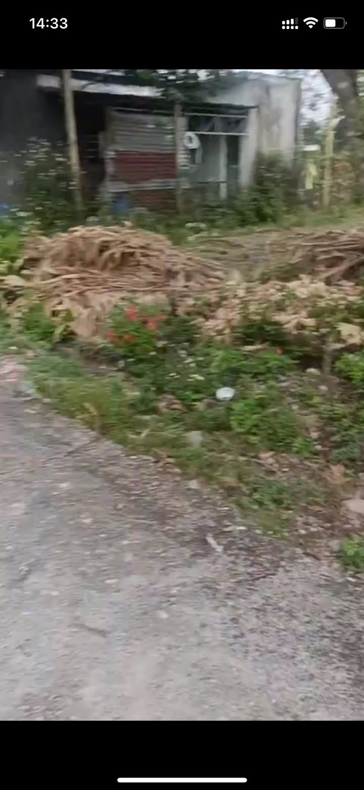 Đất nền Thôn 1 Đak Mar, 250m² giá 500 triệu - Cơ hội đầu tư tuyệt vời!