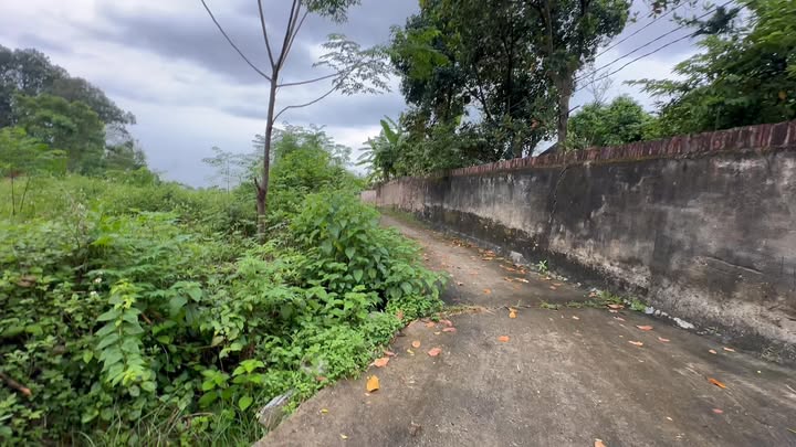 Đất nền Tân Hương, Phổ Yên 231m² giá 1.6 tỷ - Đầu tư sinh lời ngay!