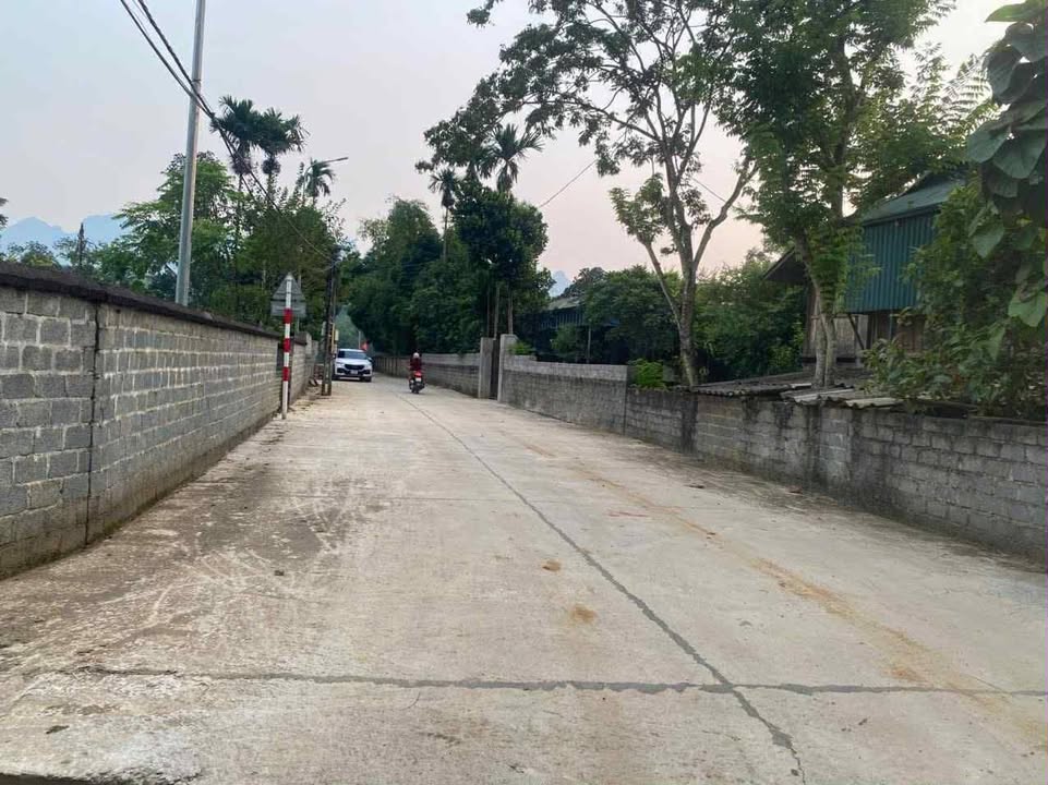 Đất nền thổ cư 500m² tại xóm Thành Sơn, Lương Sơn, Hòa Bình - Giá chỉ 1.5 tỷ!