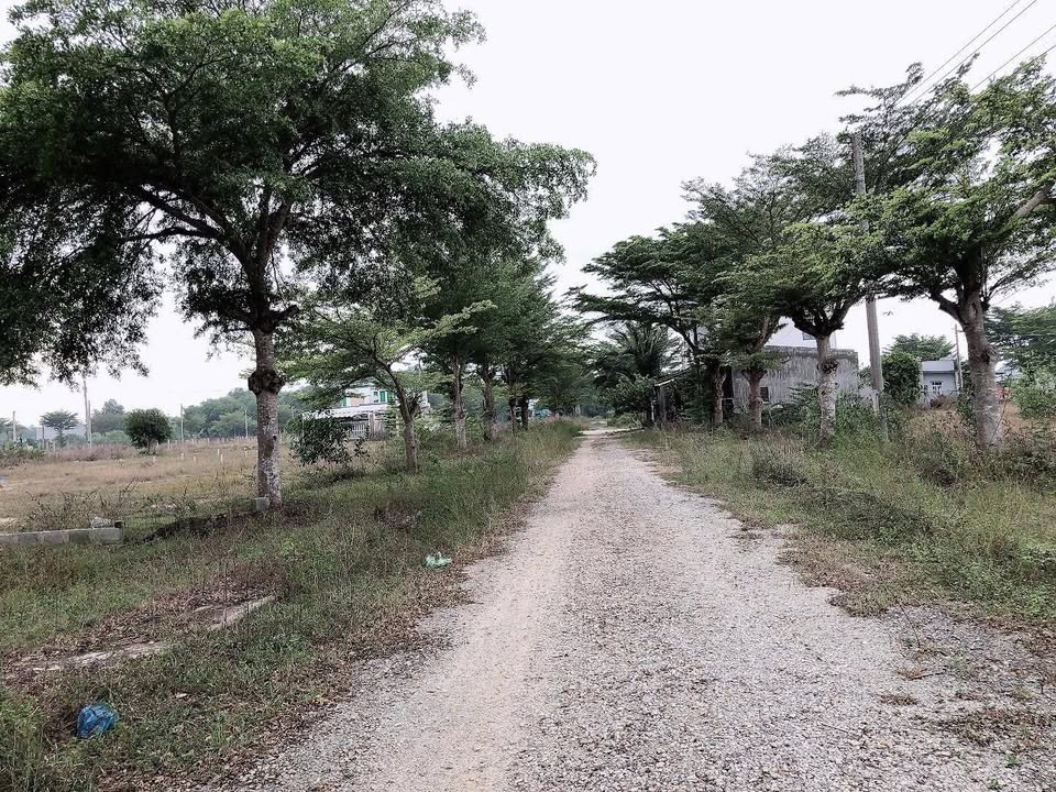 Đất nền KDC Sài Gòn Hàm Tân, La Gi 105m² giá 1.323 tỷ - Đầu tư sinh lời ngay!