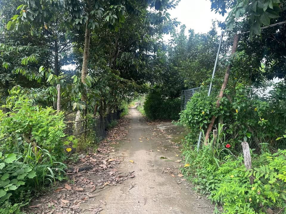 Đất thổ cư Tân Tiến Bù Đốp 1040m² giá 350 triệu - Cơ hội đầu tư tuyệt vời!