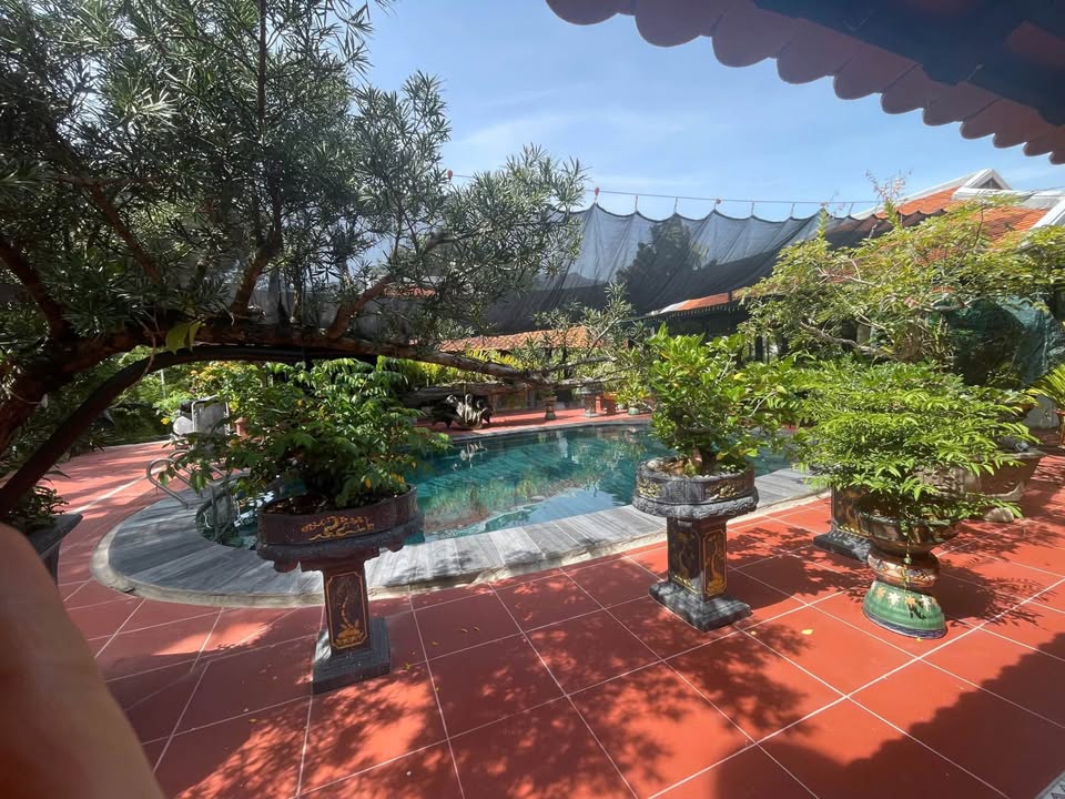 Biệt thự vườn Phước Hạ - Phước Đồng 2000m² giá 20 triệu - Không gian sống lý tưởng!