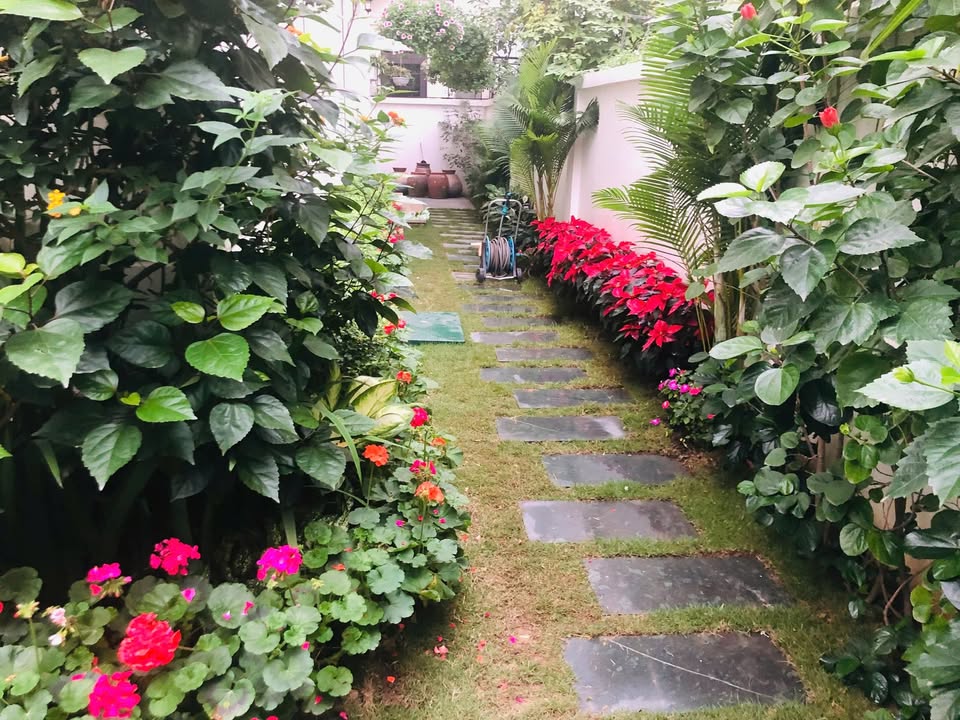 Biệt thự cho thuê phường Trần Phú, quận Hoàng Mai 160m² chỉ với 30 triệu/tháng - Không gian sống lý tưởng!