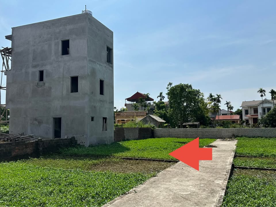 Đất nền Thôn Ổ Thôn, Thọ Lộc 41.7m² giá chỉ 1 tỷ - Cơ hội đầu tư hấp dẫn!