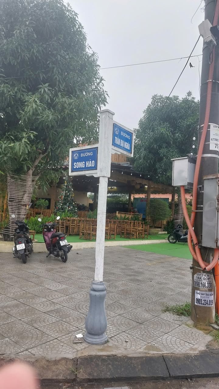 Lô Biệt Thự Đường Nguyễn Phan Chánh, Ngũ Hành Sơn 300m² - Sổ Đỏ Chính Chủ!