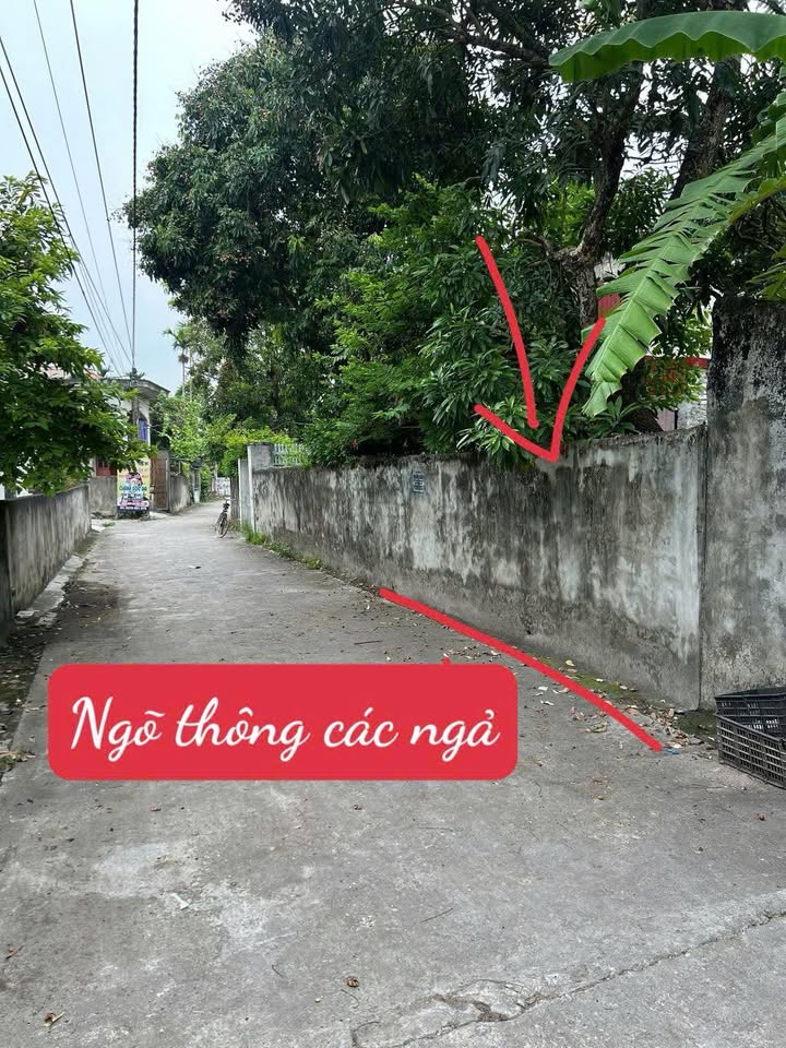 Đất nền Mọc Tòng, Thanh Liêm 105m² giá chỉ 1 tỷ - Ô tô vào tận nơi!