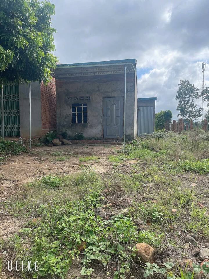 Đất thổ cư Ea Dăh, Krông Năng 1500m² giá 600 triệu - Khu dân cư sầm uất!