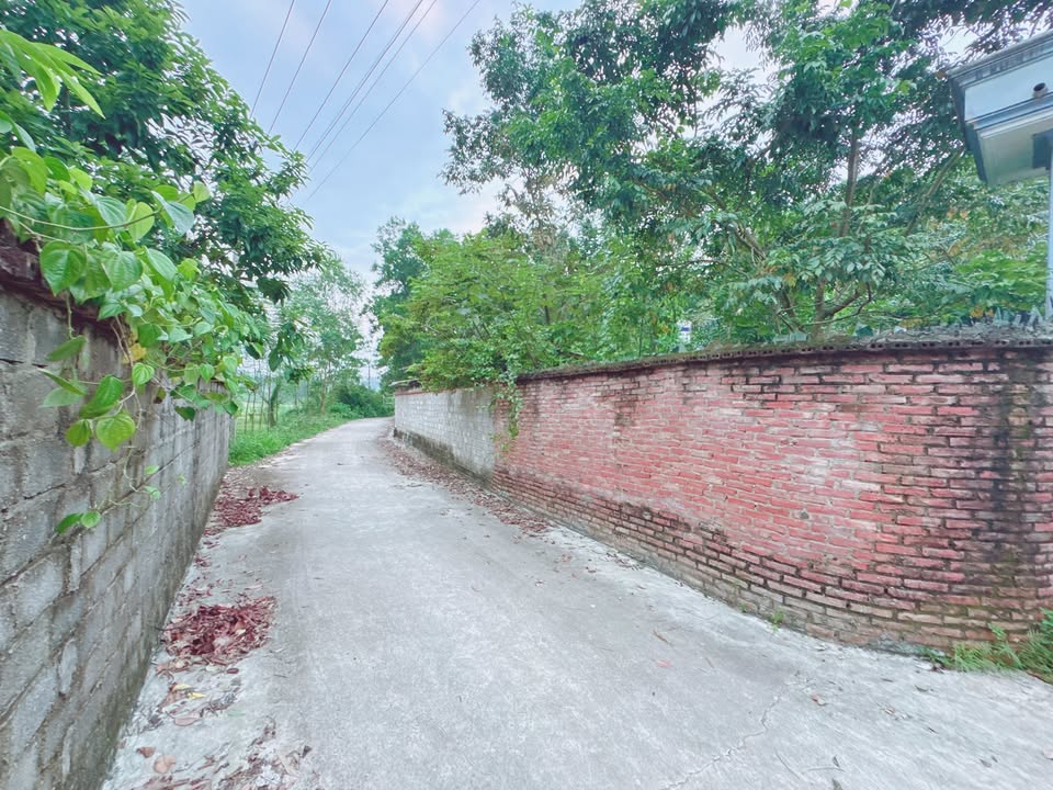 Đất thổ cư 441m² xã Tiên Kiên - Lâm Thao giá 2 tỷ - Phù hợp xây biệt thự