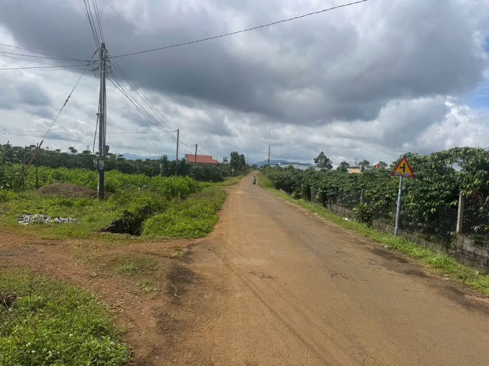 Đất thổ cư 7713m² 2 mặt tiền đường Trần Khánh Dư - Giá 1.1 tỷ đàm phán