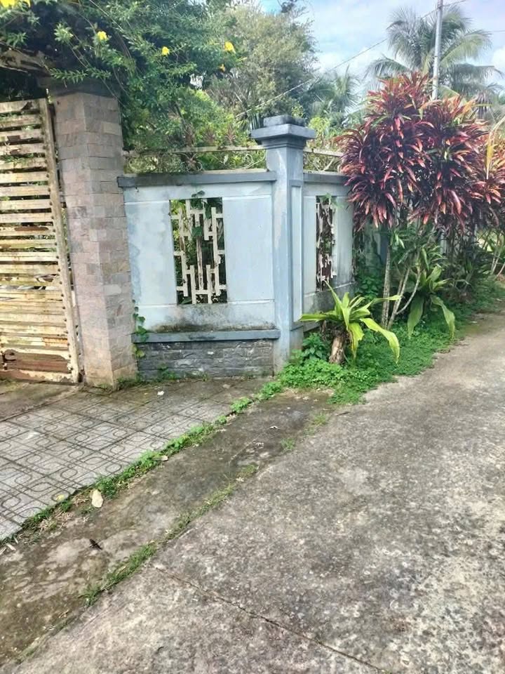 Nhà và đất Phú Khương Bến Tre 500m² - Gần chợ chỉ 1km!