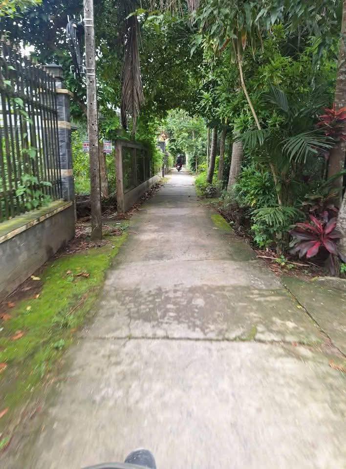 Đất Vĩnh Hòa Chợ Lách 3500m² giá 5.3 tỷ - Đường thông, giao thông thuận tiện!