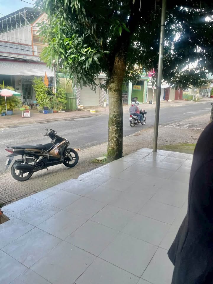 Nhà mặt tiền Nguyễn Khuyến, Bảo Lộc 90m² giá 7 triệu - Thích hợp vừa ở vừa kinh doanh!