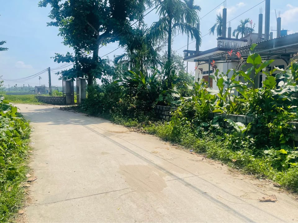 Đất nền xã Liên Sơn, Lương Sơn, Hòa Bình 150m² giá chỉ 999 triệu - Cơ hội đầu tư tuyệt vời!