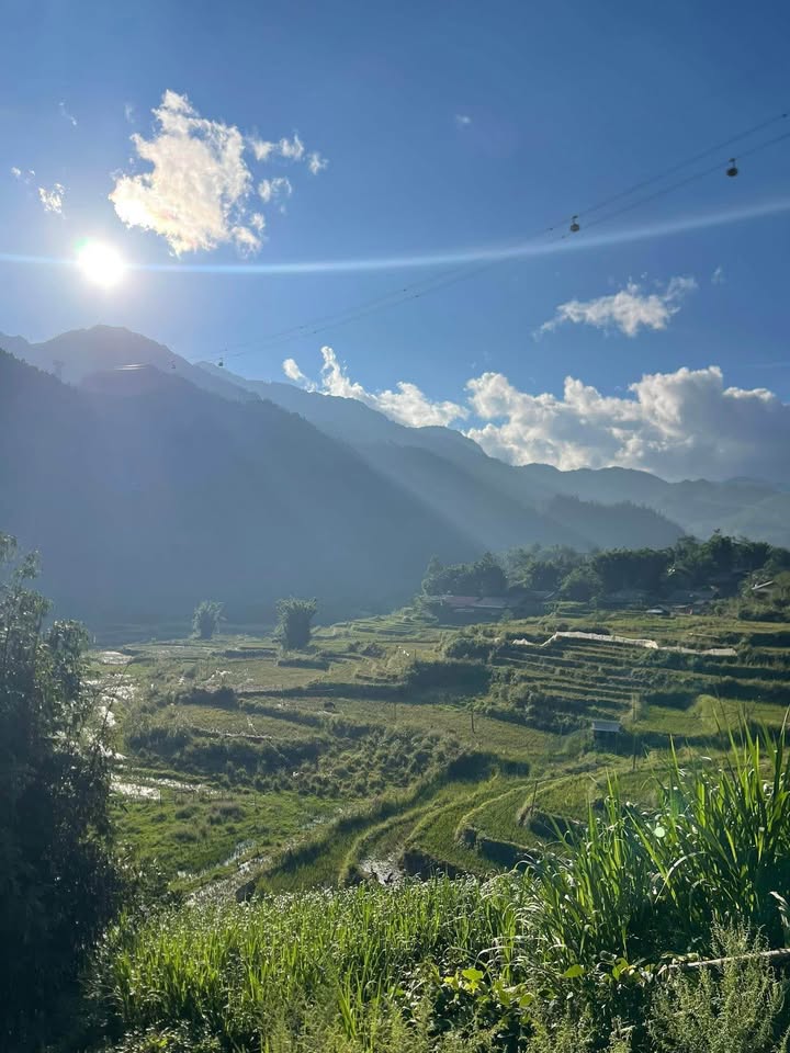 Đất thổ cư chính chủ 270m² tại Hoàng Liên, Sa Pa - Đầu tư sinh lời tuyệt vời!