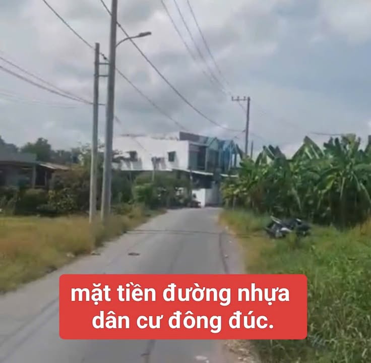 Đất trồng cây lâu năm Hưng Long 1000m² giá 4.5 tỷ - Đầu tư sinh lời hấp dẫn!