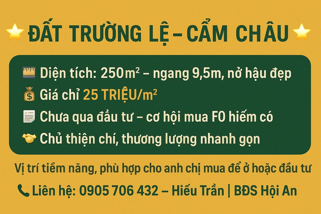 Đất Trường Lệ Cẩm Châu 250m² giá 6.25 tỷ - Cơ hội đầu tư hiếm có!